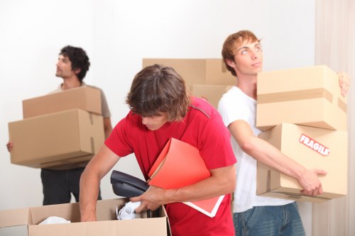 Professional removals team organizing household items