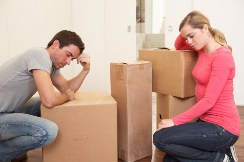 Packing boxes and furniture for secure storage in Thehyde